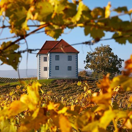 Wine Grower'S Mansion Zlati Gric Apartamento Slovenske Konjice Exterior foto