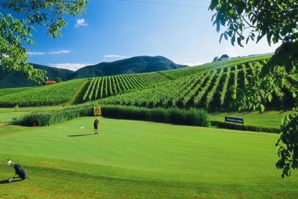 Wine Grower'S Mansion Zlati Gric Apartamento Slovenske Konjice Exterior foto