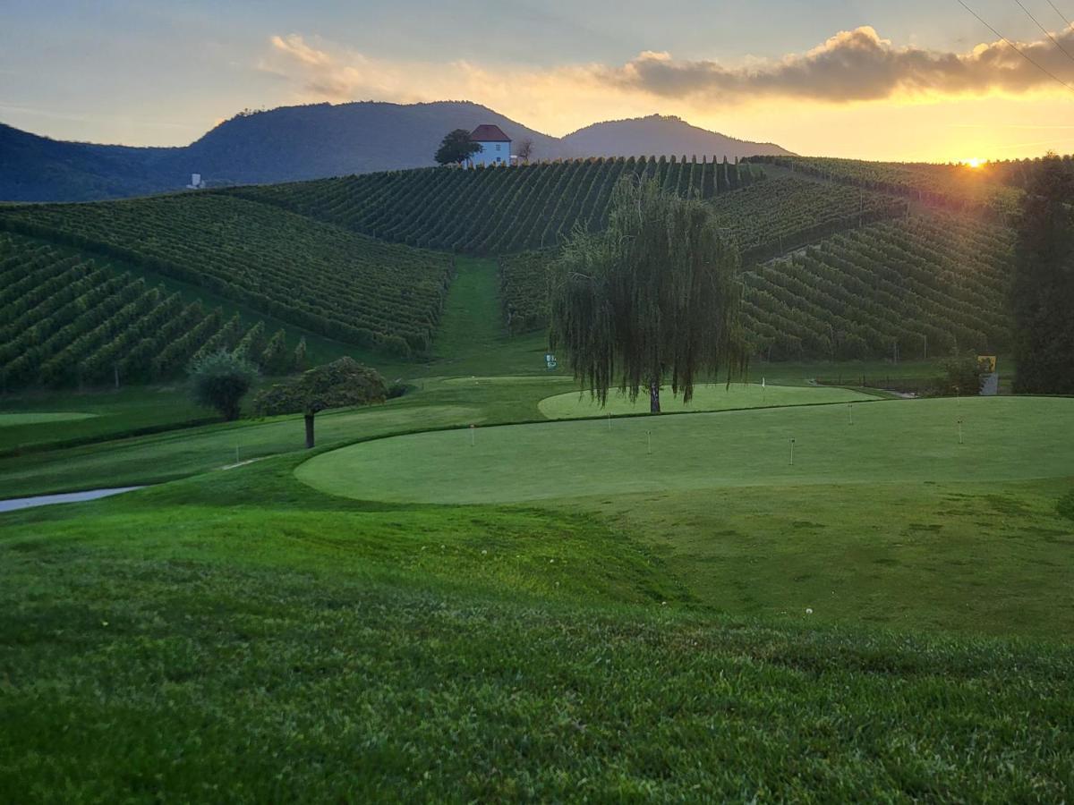 Wine Grower'S Mansion Zlati Gric Apartamento Slovenske Konjice Exterior foto