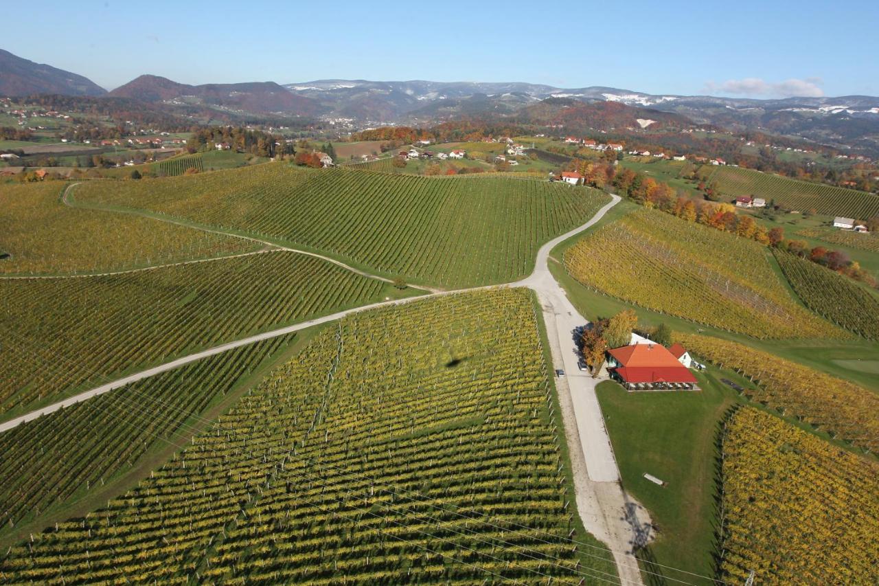 Wine Grower'S Mansion Zlati Gric Apartamento Slovenske Konjice Exterior foto