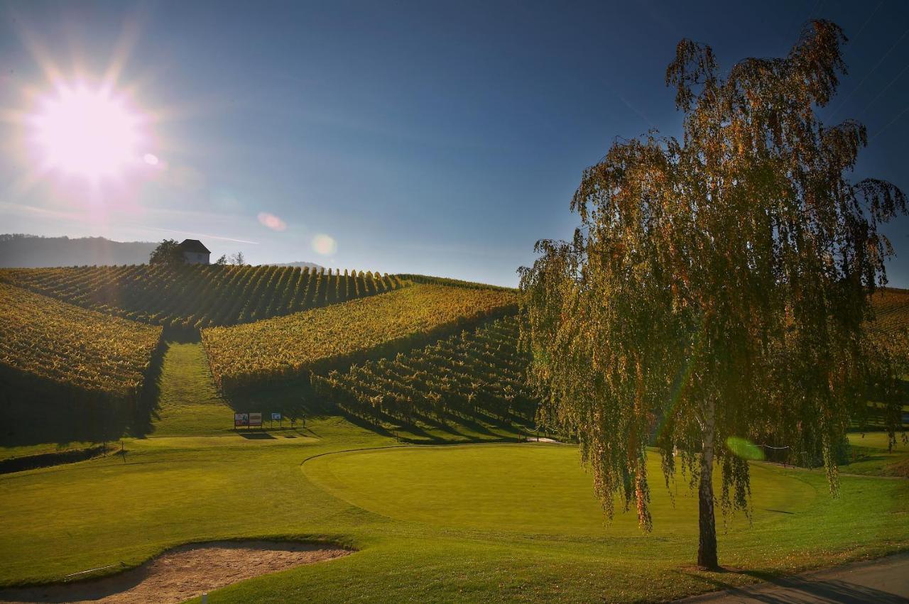 Wine Grower'S Mansion Zlati Gric Apartamento Slovenske Konjice Exterior foto