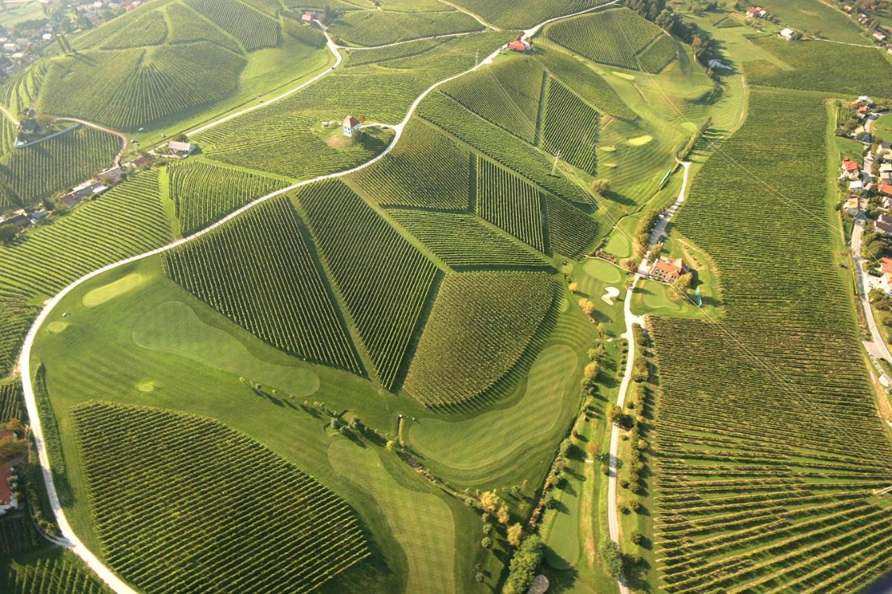 Wine Grower'S Mansion Zlati Gric Apartamento Slovenske Konjice Exterior foto