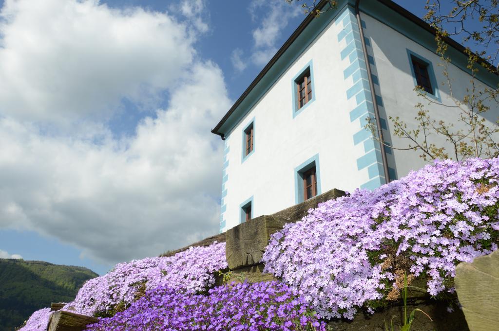 Wine Grower'S Mansion Zlati Gric Apartamento Slovenske Konjice Exterior foto