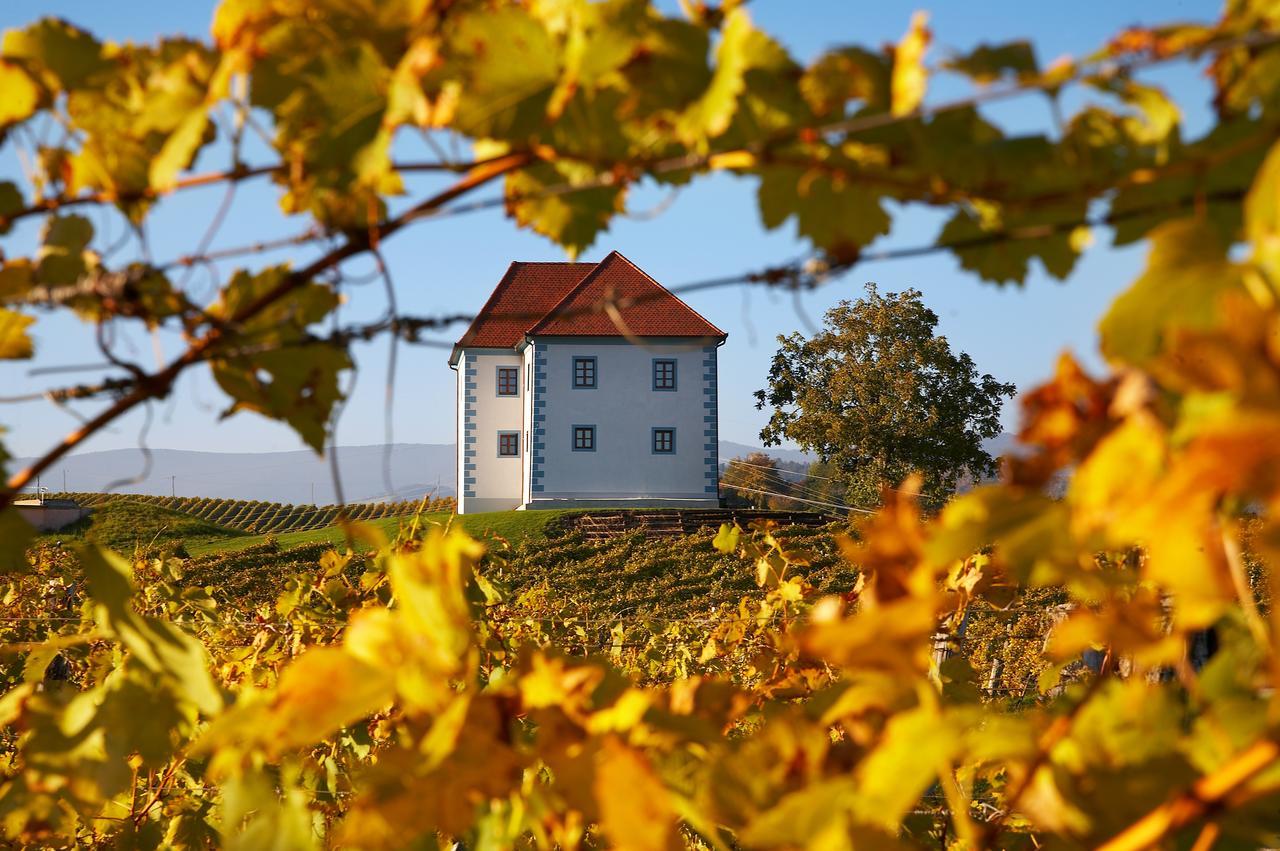 Wine Grower'S Mansion Zlati Gric Apartamento Slovenske Konjice Exterior foto