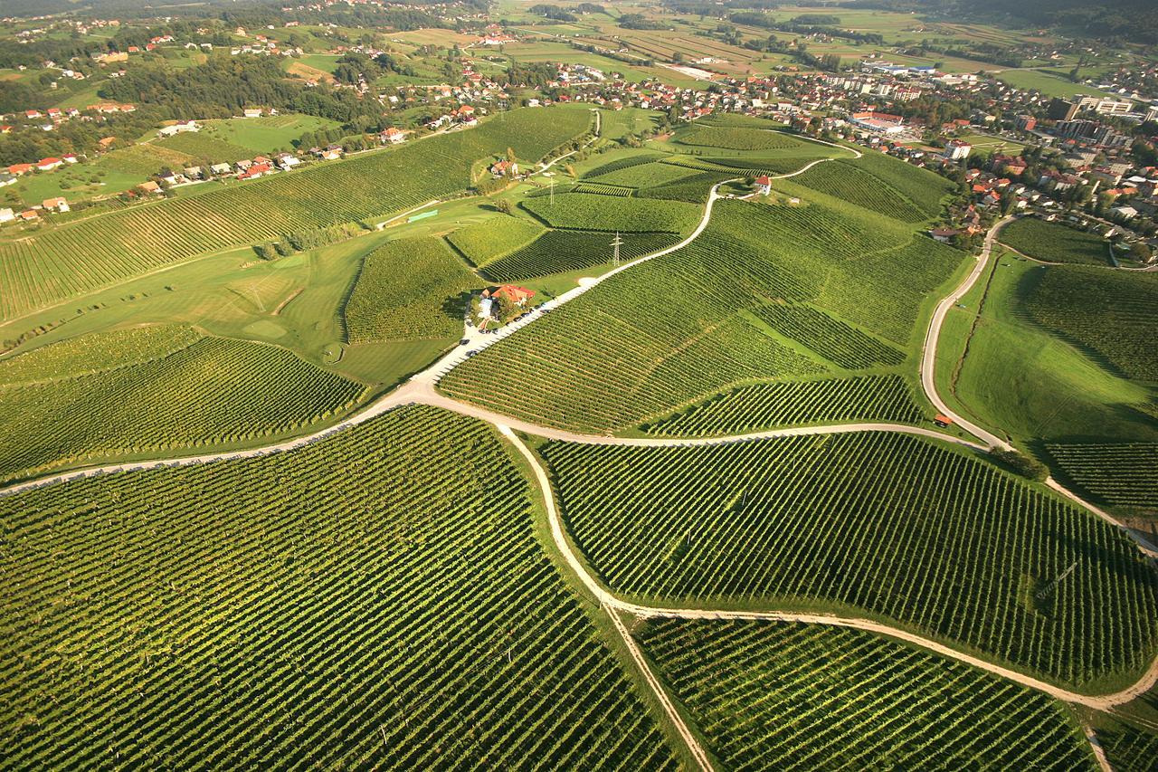 Wine Grower'S Mansion Zlati Gric Apartamento Slovenske Konjice Exterior foto