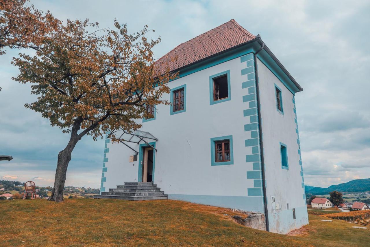 Wine Grower'S Mansion Zlati Gric Apartamento Slovenske Konjice Exterior foto