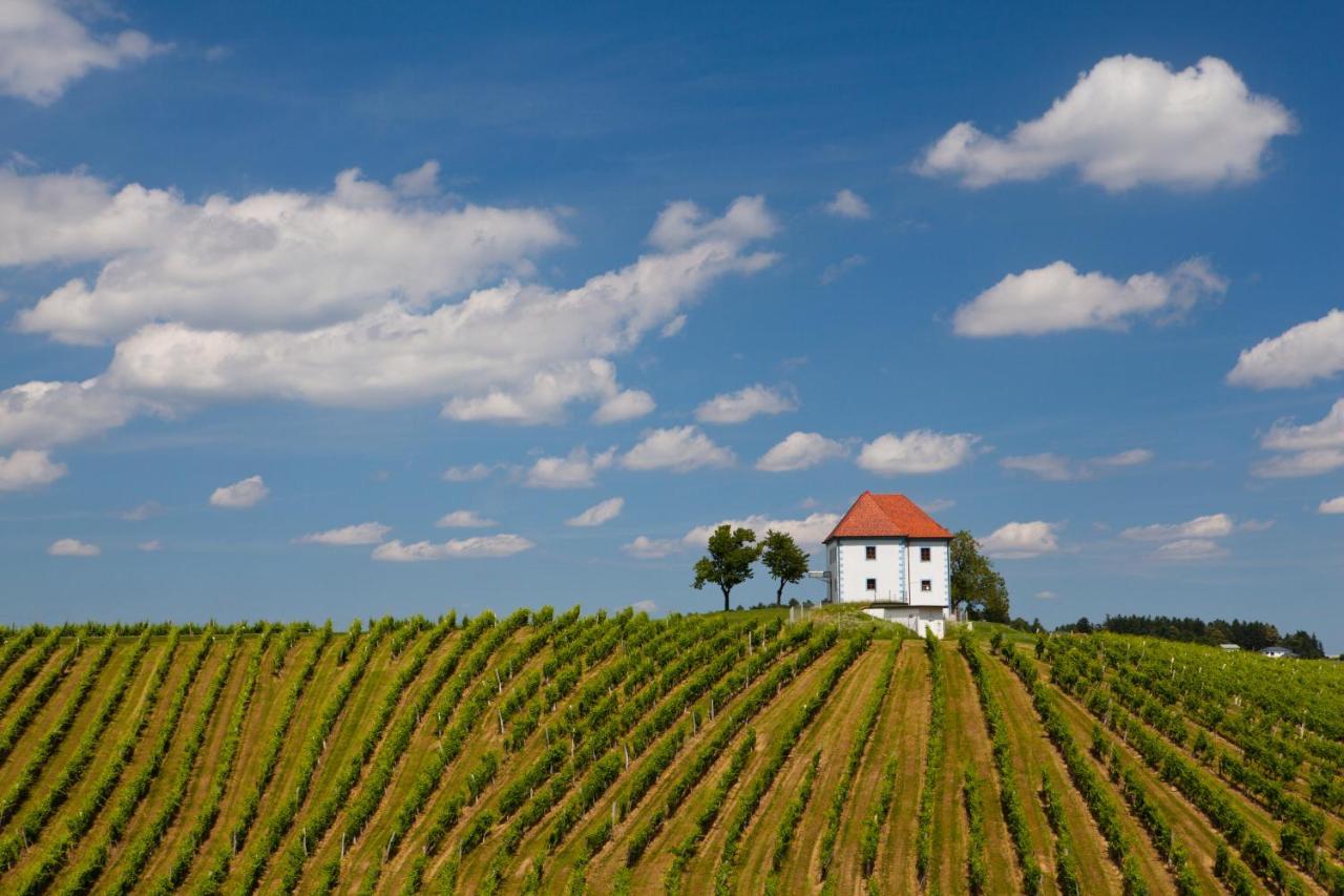 Wine Grower'S Mansion Zlati Gric Apartamento Slovenske Konjice Exterior foto